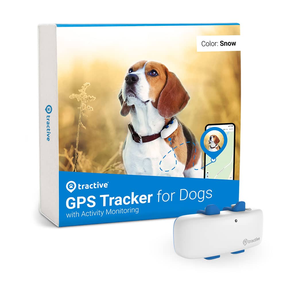 Tractive GPS DOG 4 Snow White | Real-Time Tracking | GPS   